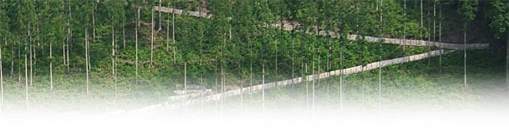 title06.jpg