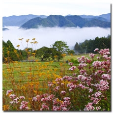 Takahara Village
