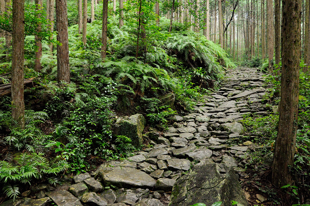 Kumano Kodo Pilgrimage Route Iseji