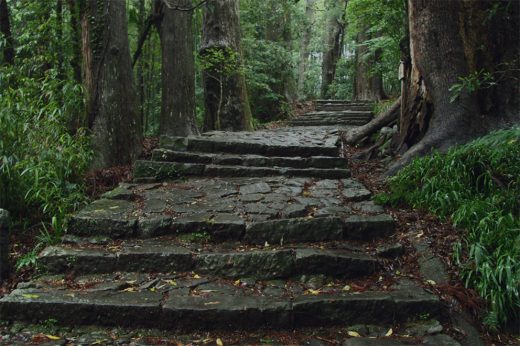 Kumano Kodo Daimonzaka ancient staircase