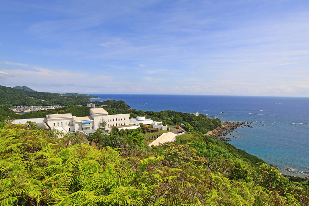 Hotel Bellevedere