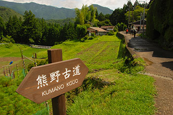 kumano-kodo-trail