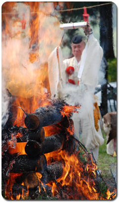 Portable Shrine Procession