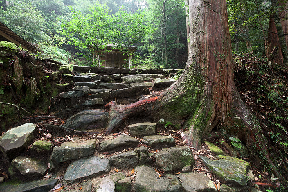 Kumano Kodo Dainichi-goe