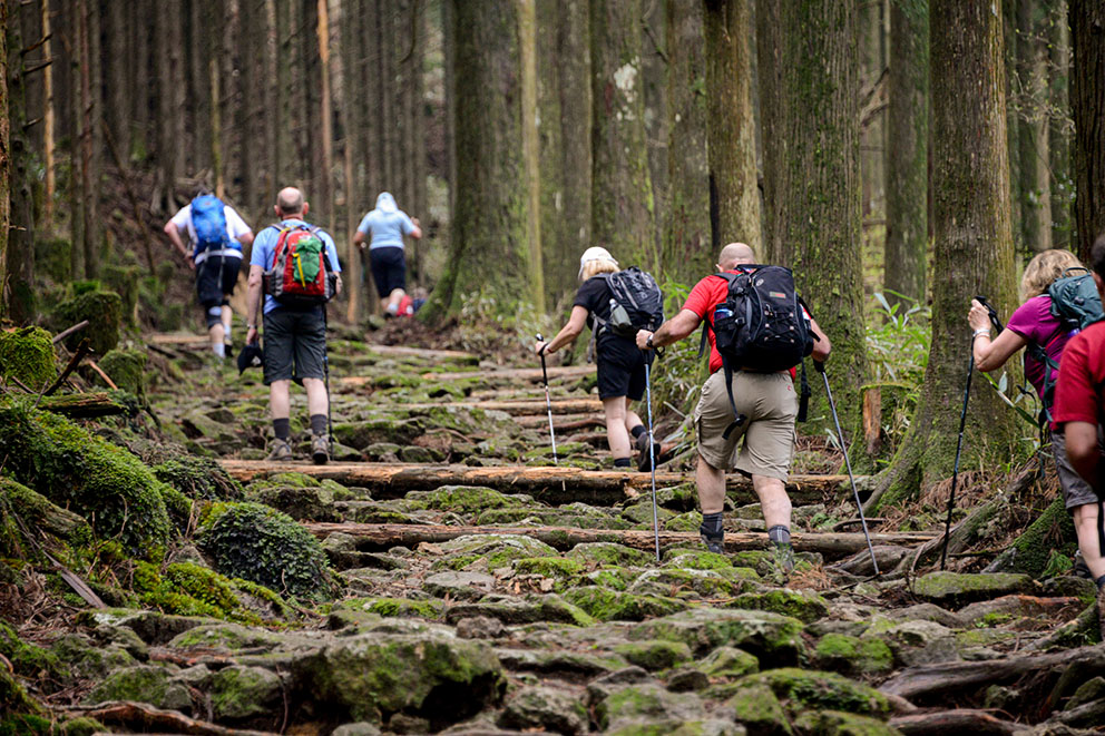 Kumano Kodo Pilgrimage Route Nakahechi