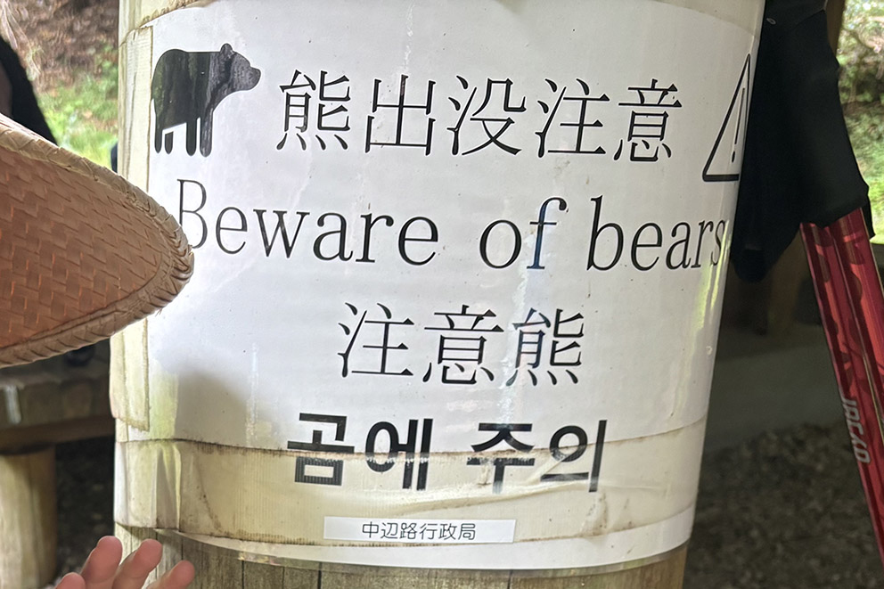 bear safety