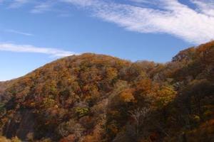 護摩壇山の紅葉