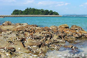 神島