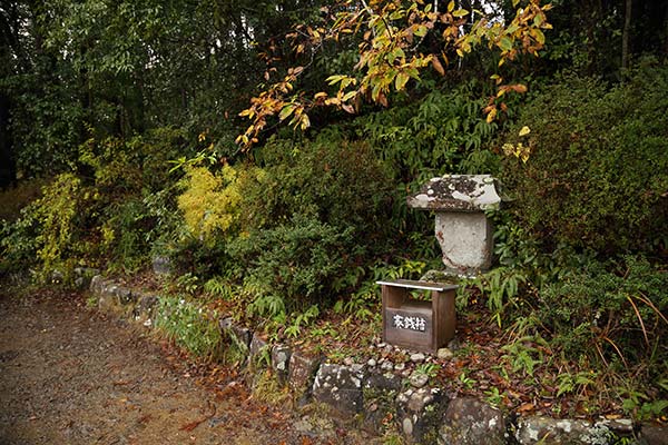 熊野古道中辺路 伏拝王子