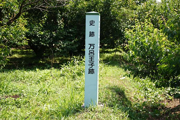 熊野古道中辺路 万呂王子