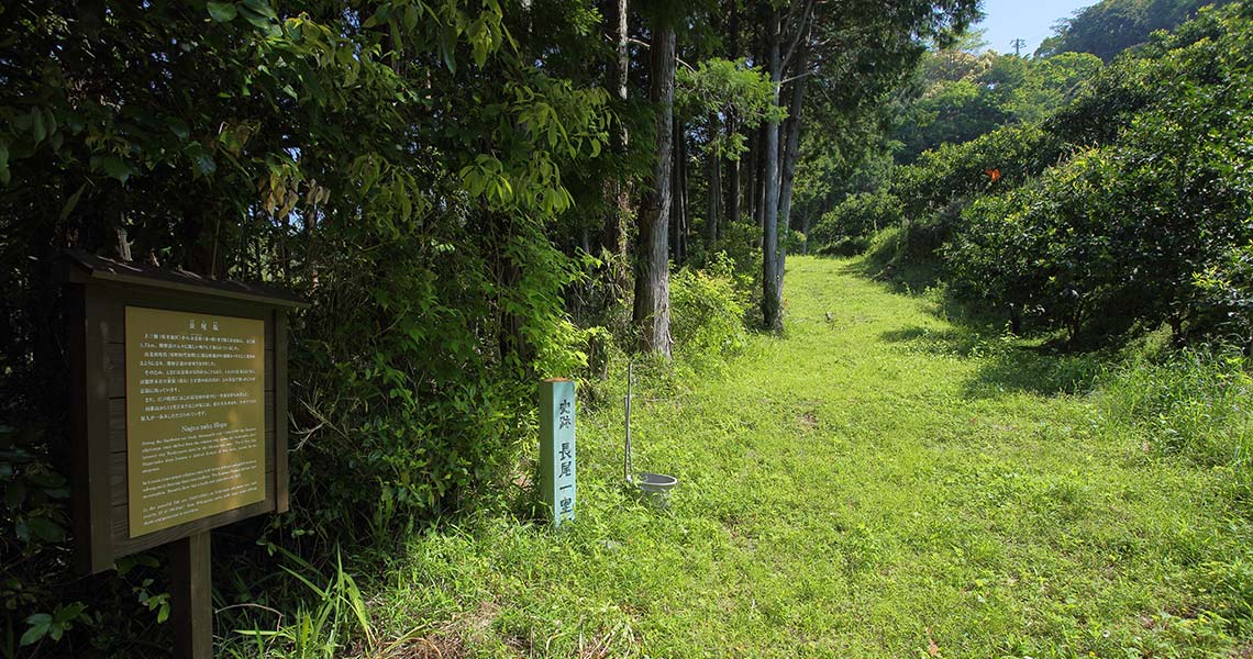 熊野古道中辺路 潮見越 長尾坂