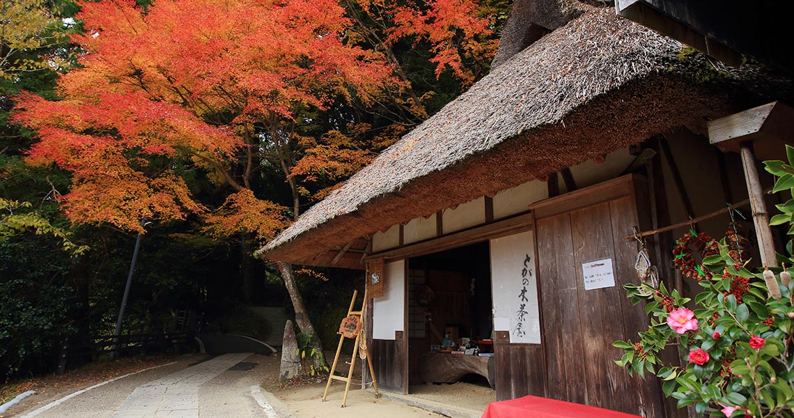 とがの木茶屋と紅葉