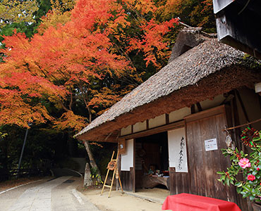 とがのき茶屋