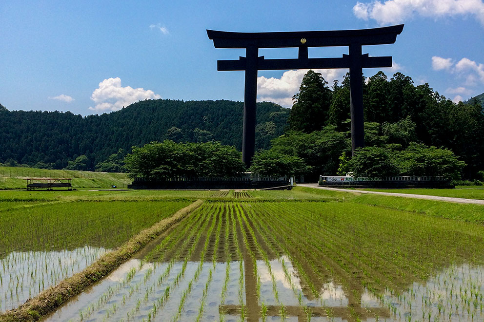 晴天の大斎原