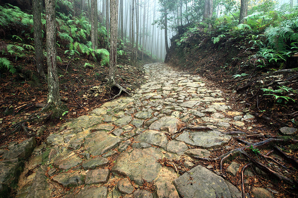 熊野古道　イメージ